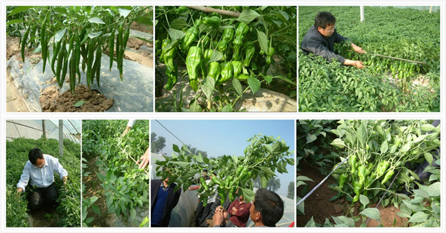 Ĵ؅^(q)ʩĦˮܷa(chn)