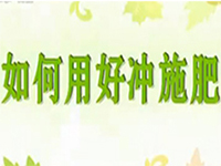 水肥一體化之水溶肥料