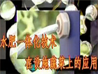 水肥一體化在蔬菜上的應(yīng)用