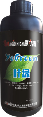 葉綠-摩力高系列 葉綠-摩力高系列