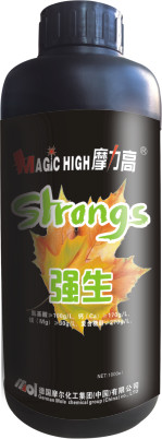 強生-摩力高系列 強生-摩力高系列