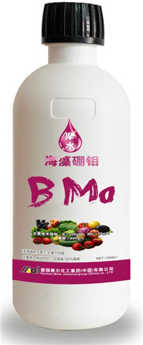 海藻硼鉬 海藻硼鉬