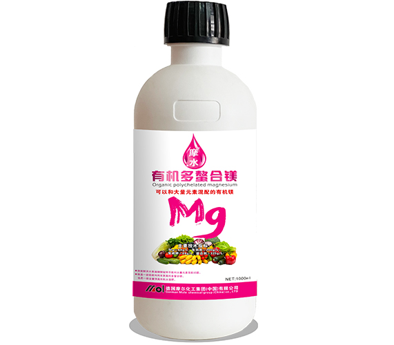 有機多螯合鎂 有機多螯合鎂