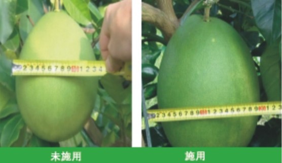 腐殖酸水溶肥對比圖 腐殖酸水溶肥對比圖