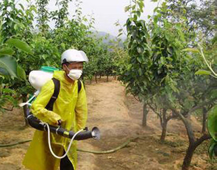 蘋果噴施水溶肥方法 蘋果噴施水溶肥方法