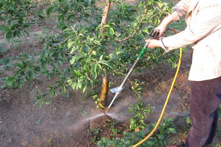 開春果樹施肥技巧 開春果樹施肥技巧