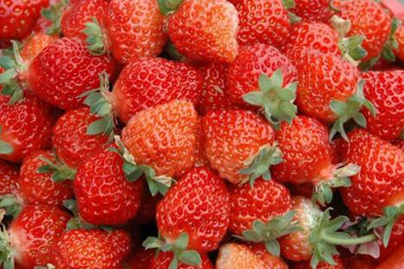 草莓著色不均施肥方法 草莓著色不均施肥方法