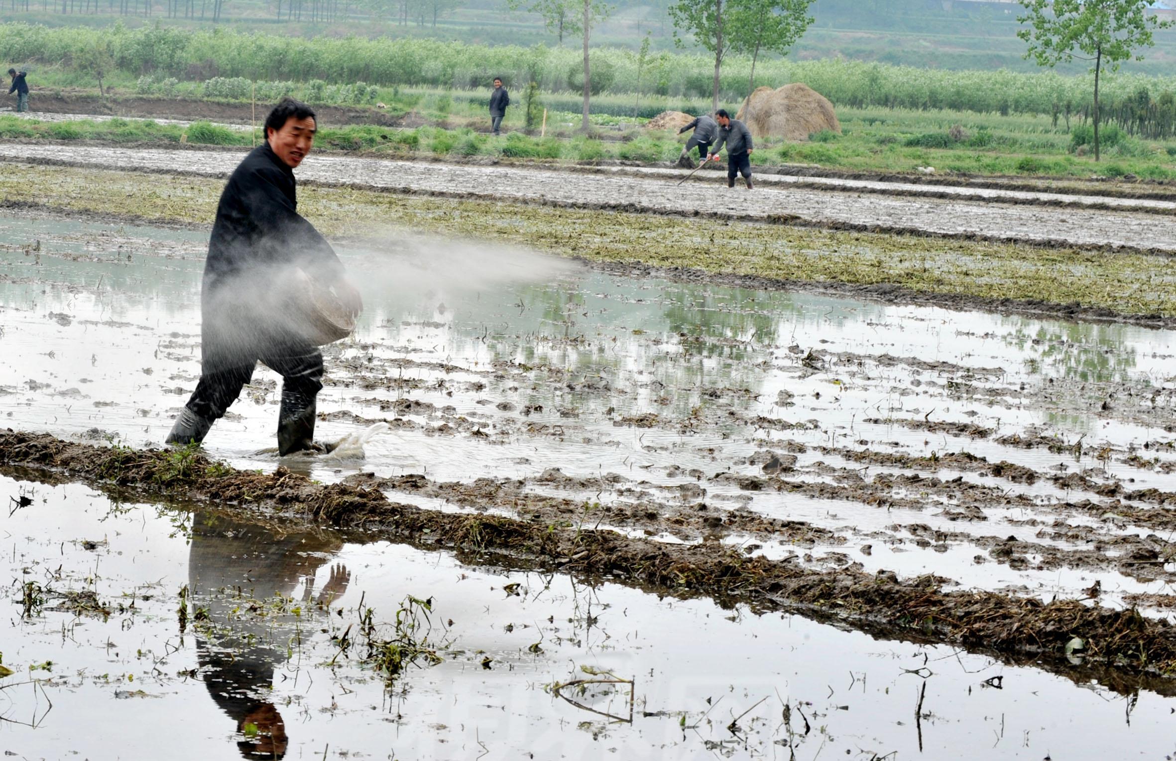 水溶肥使用注意 水溶肥使用注意