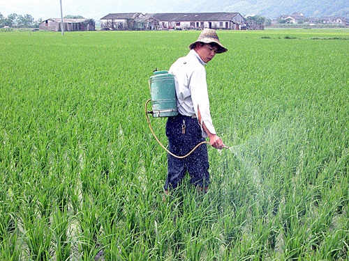 69621-1.jpg 69621-1.jpg