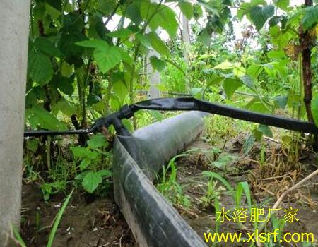 果樹滴灌施肥 果樹滴灌施肥