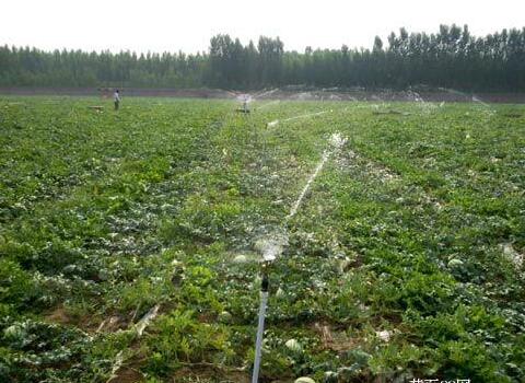 水溶肥發(fā)展機遇 水溶肥發(fā)展機遇