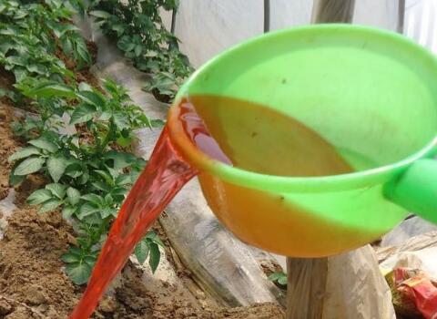 含腐植酸水溶肥沖施 含腐植酸水溶肥沖施