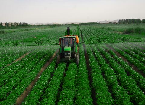含腐植酸水溶肥噴施 含腐植酸水溶肥噴施