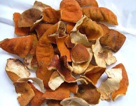 橘子皮自制液體肥 橘子皮自制液體肥