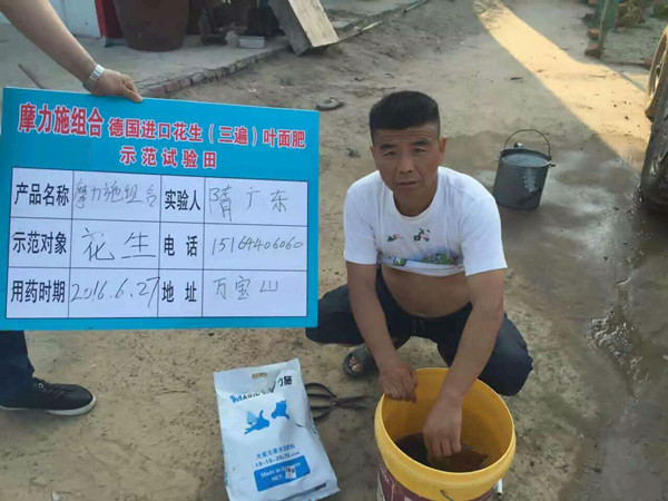 摩爾水溶肥在花生田間試驗(yàn) 摩爾水溶肥在花生田間試驗(yàn)