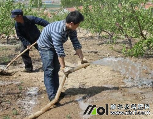 高溫天氣追施水溶肥 高溫天氣追施水溶肥
