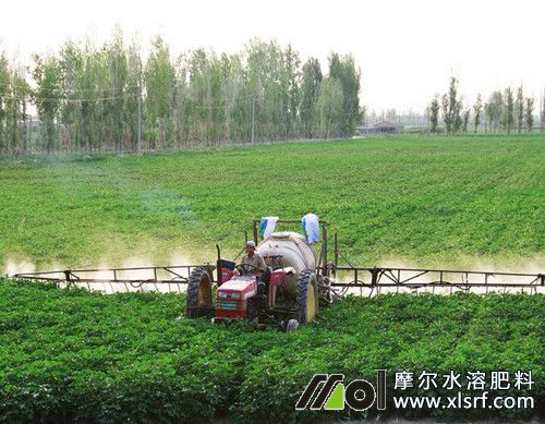 多雨天氣追施水溶肥 多雨天氣追施水溶肥