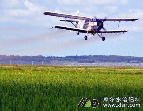 水溶性肥料怎么進(jìn)行葉面噴施 水溶性肥料怎么進(jìn)行葉面噴施