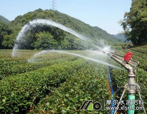 水溶肥為什么比復(fù)合肥好 水溶肥為什么比復(fù)合肥好