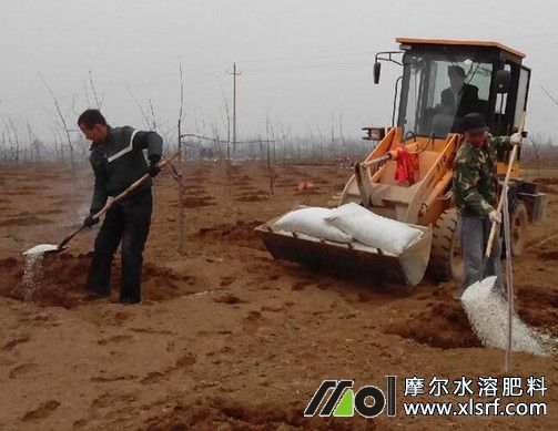 水溶肥為什么比復(fù)合肥好 水溶肥為什么比復(fù)合肥好