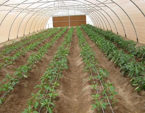 如何辦理水溶肥料登記證 如何辦理水溶肥料登記證