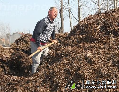 墨蘭怎么施肥 墨蘭怎么施肥