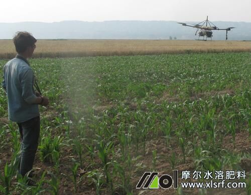 如何加快水溶肥的推廣步伐 如何加快水溶肥的推廣步伐
