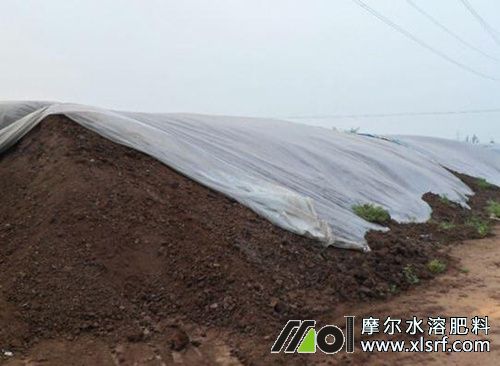 甘蔗施腐熟底肥 甘蔗施腐熟底肥