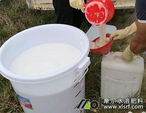 水溶肥行情走勢 水溶肥行情走勢