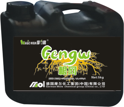 桶裝根網(wǎng) 桶裝根網(wǎng)