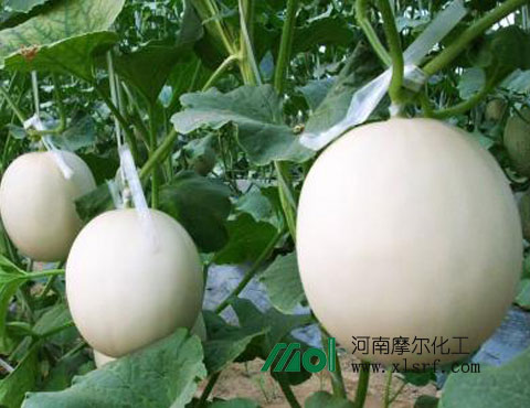 水溶肥含量 水溶肥含量