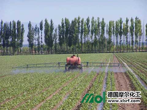 棉花施水溶肥 棉花施水溶肥