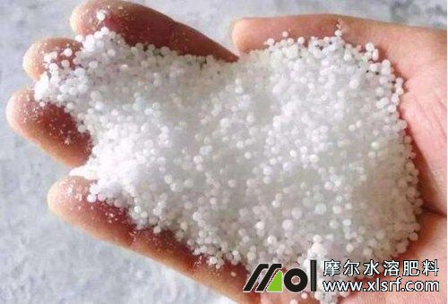 高氮類水溶肥料 高氮類水溶肥料