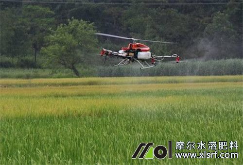 水溶肥噴施追肥 水溶肥噴施追肥