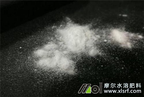 海藻水溶性肥料 海藻水溶性肥料