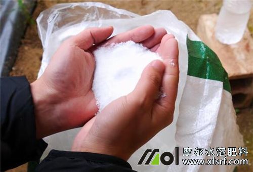 水溶肥使用方法 水溶肥使用方法