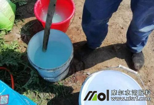 水溶肥配置注意 水溶肥配置注意