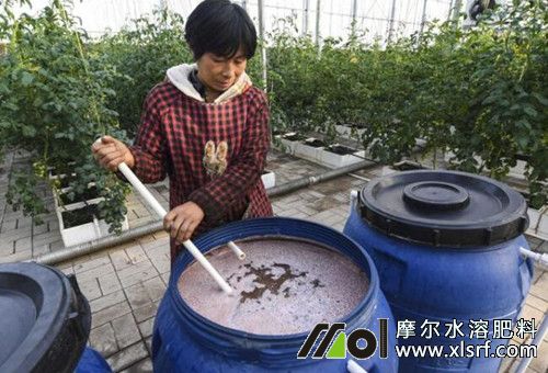 自配水溶肥是否能用 自配水溶肥是否能用
