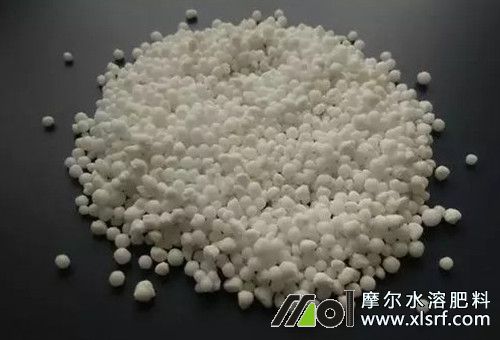 高氮水溶肥特點(diǎn) 高氮水溶肥特點(diǎn)