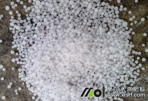 高氮肥選擇 高氮肥選擇