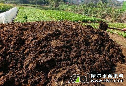 櫻桃樹(shù)施底肥 櫻桃樹(shù)施底肥