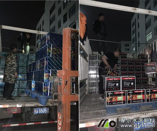 10噸肥料裝車現(xiàn)場3 10噸肥料裝車現(xiàn)場3