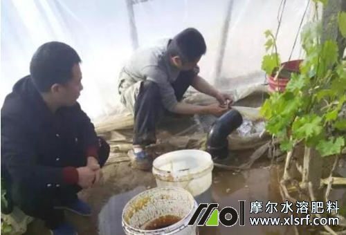 沖施水溶肥一畝地用水 沖施水溶肥一畝地用水