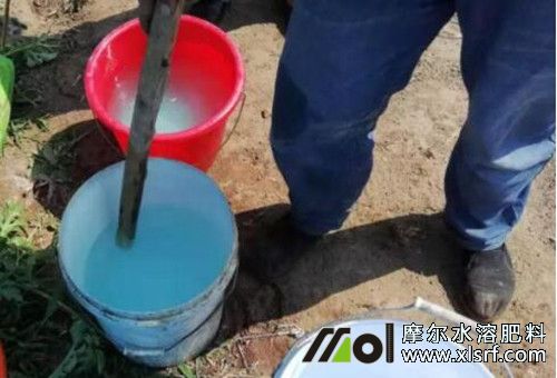 水溶肥溶解后存放時(shí)間 水溶肥溶解后存放時(shí)間