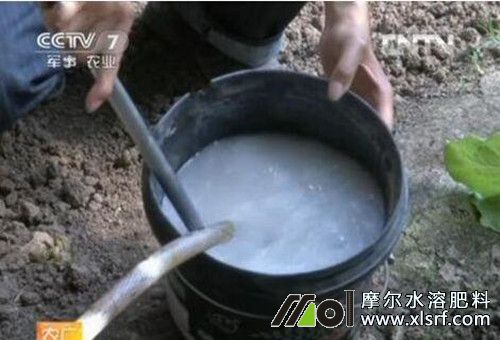 水溶肥兌水原因 水溶肥兌水原因