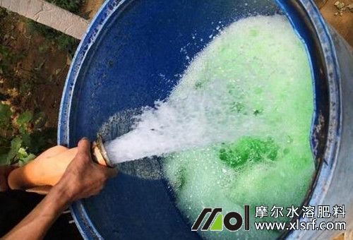 水溶肥料用法 水溶肥料用法