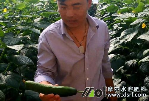 ˮ�ܷʺÉ��Д�