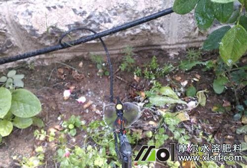 ˮ�ܷʻ���ע��