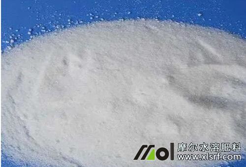 水溶肥直接拌土是燒根 水溶肥直接拌土是燒根