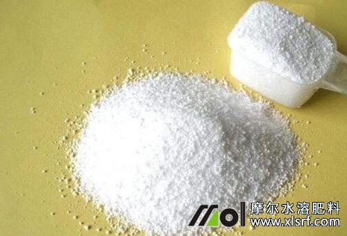 殺蟲(chóng)藥能和水溶肥混用 殺蟲(chóng)藥能和水溶肥混用